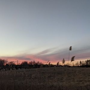 Meet your Posher, Mahnaz